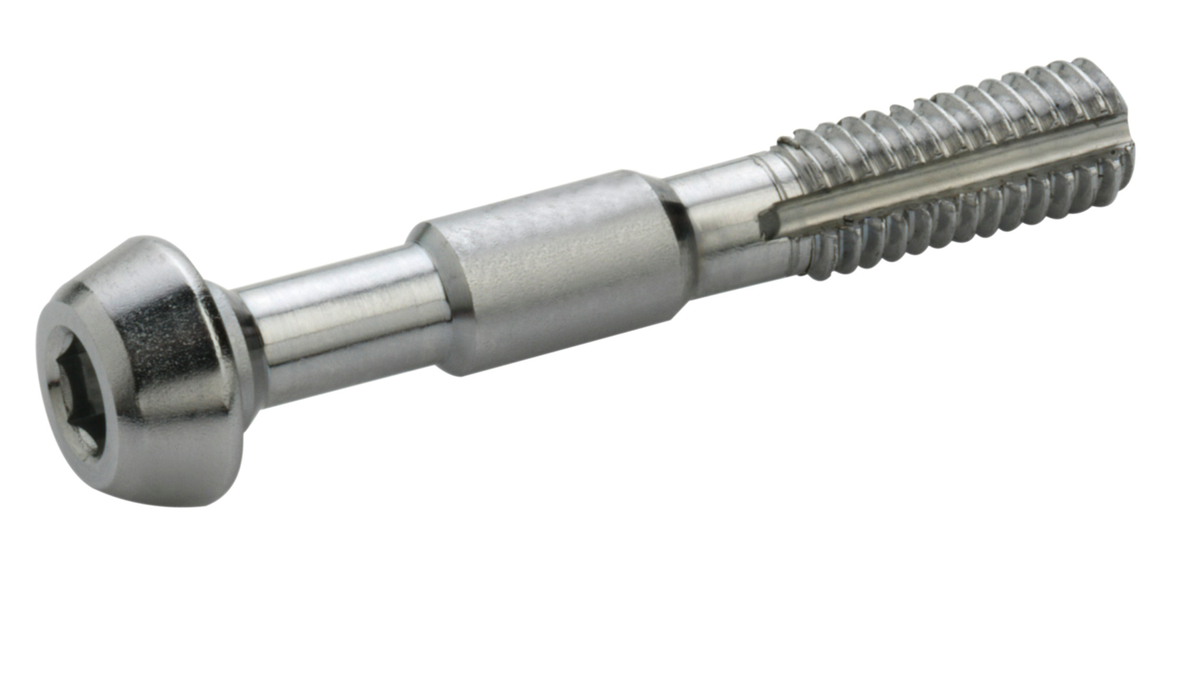 10 x vis Hydro inox pour durite Elvedes