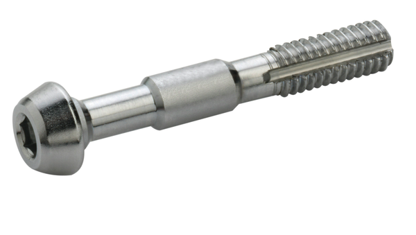 10 x vis Hydro inox pour durite Elvedes