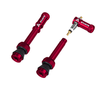 Paire de valves (44mm) + bouchons valve Granite CNC/démonte obus Juicy Nipples
