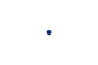 Hope RX4 SR[old] DOT Small Bore Cap - vue 2