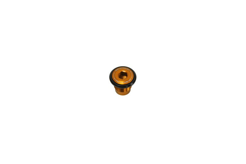 Hope Thru Axle Bolt UDH - vue 3