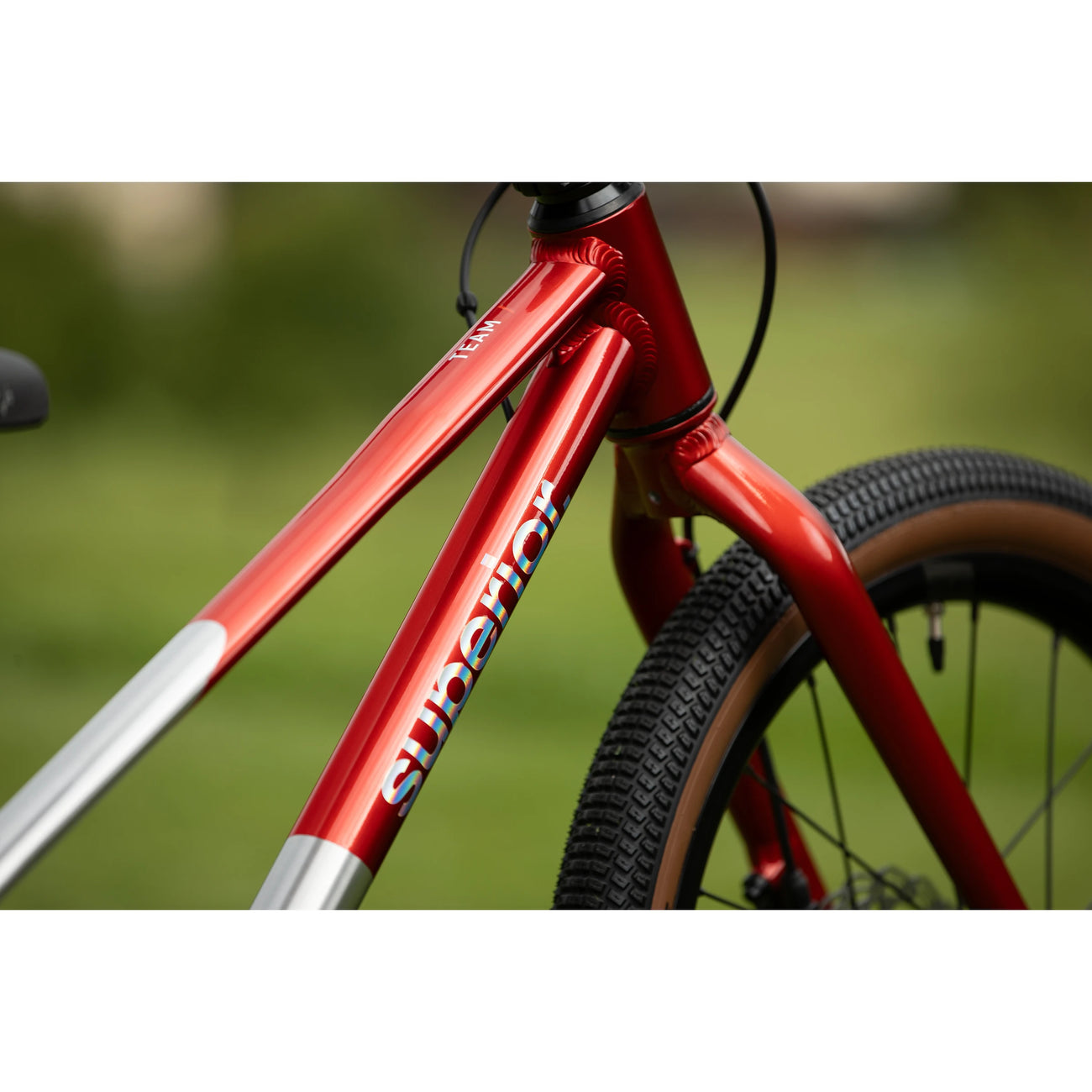 Freins — Team 20