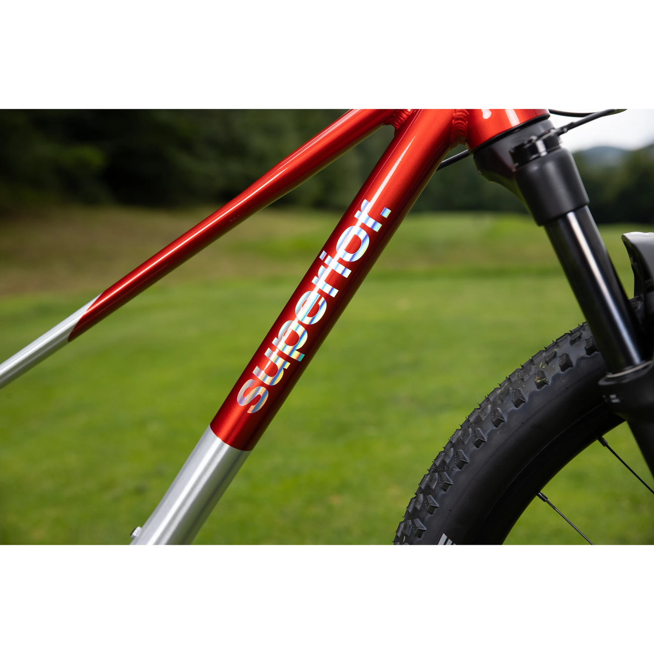 Roues — Team 27.7 SLX 12s Disc