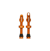 Hope Tubeless Valve Pair 60mm - vue 3