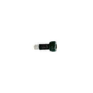 dualtron Mini Dual Motor screw
