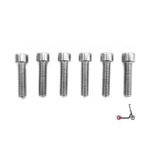 Vis BTR roue AR Dualtron Mini (x6)