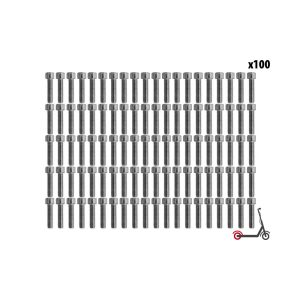 BTR Rear Wheel Screw Dualtron Mini (x100 pcs)