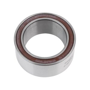Roulement Cadre Supendu Blackbearing Max 21.05X31-14 mm (2153114 2Rs)