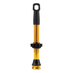 Valve De Pneu Tubeless Presta Newton Colori Or 47 mm 4 Trous Pour Diffusion Preventif (Vendu A L'Unite) - Livre Avec Démonte Obus