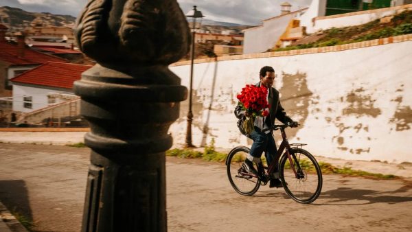 Vélo électrique Desiknio Oxytocin Pinion 1.9