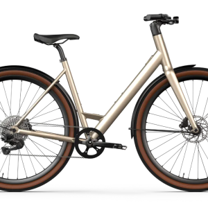 Desiknio Oxytocin 11-Speed Electric Bicycle
