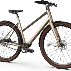 Desiknio Serotonin Pinion 1.9 Electric Bicycle