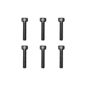 Screws for Dualtron motor rims except Mini X6 pcs