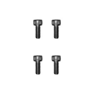 Dualtron X mudguard screws 4pcs