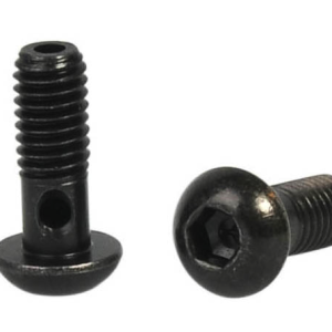 2 x screw Elvedes M6 for banjo
