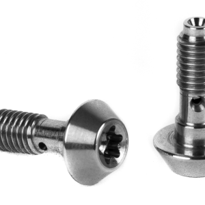 2 x screw Elvedes for banjo Magura