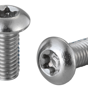 Vis de disque inox x100 Elvedes