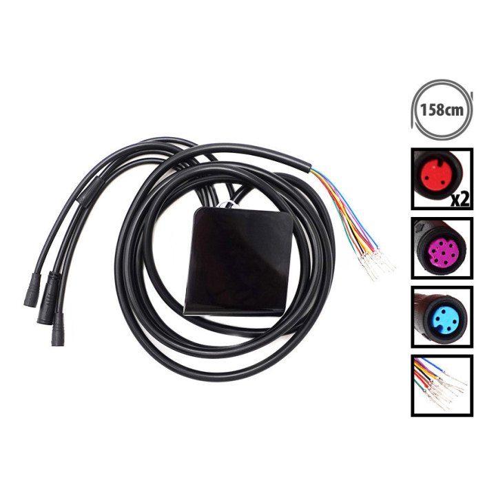 Display Dualtron Togo 36V 48V