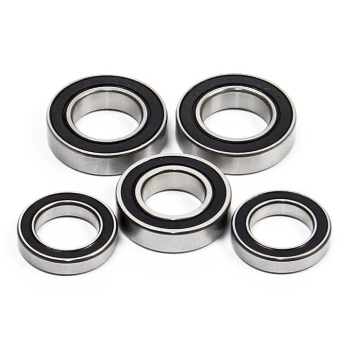 Hope Pro 2 Rear Hub Bearing Kit