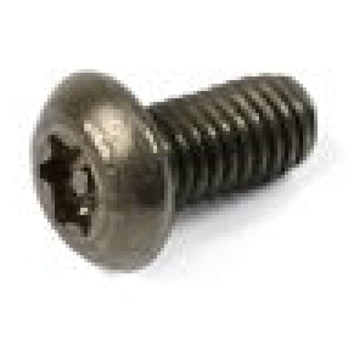 Hope M3 X 6 Torx Dome Head Stainless Steel Tamper Proof