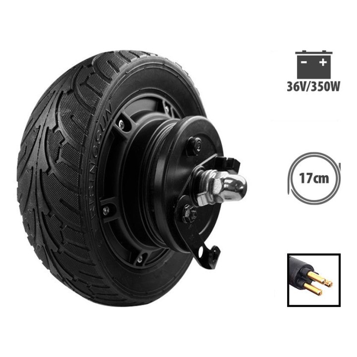 Moteur 36V 350W pour Z8