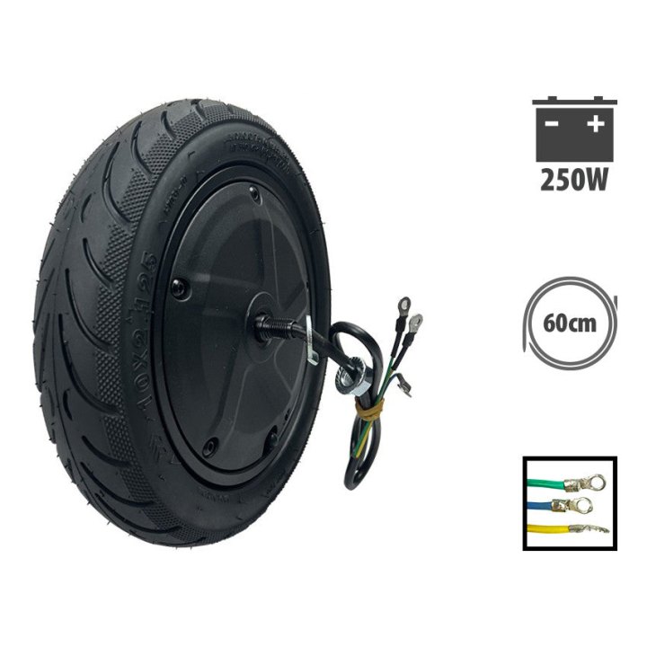 Moteur Ninebot F30 250W