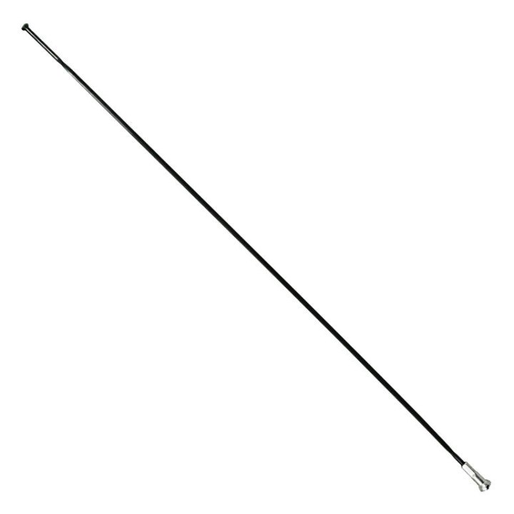 Rayon INOX Noir Plat (2,2 X 0,09 mm) Tête Droite 2 mm L 292 mm Sapim Cx-Ray Avec Écrou (Vendu A L'Unite)