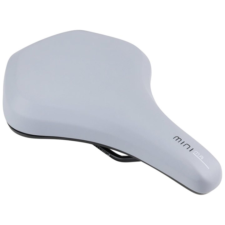 Selle Newton City Roy Minima Gris 262X190 mm Rail Acier