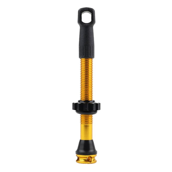 Valve De Pneu Tubeless Presta Newton Colori Or 47 mm 4 Trous Pour Diffusion Preventif (Vendu A L'Unite) - Livre Avec Démonte Obus