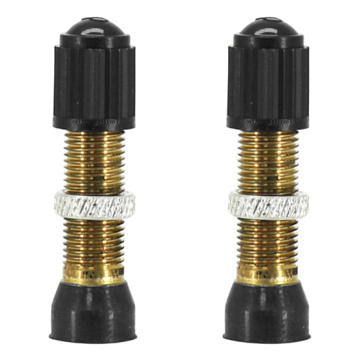 Valve De Pneu Tubeless Schrader Argent 44 mm Obus Demontable (Vendu A La Paire Sur Carte)