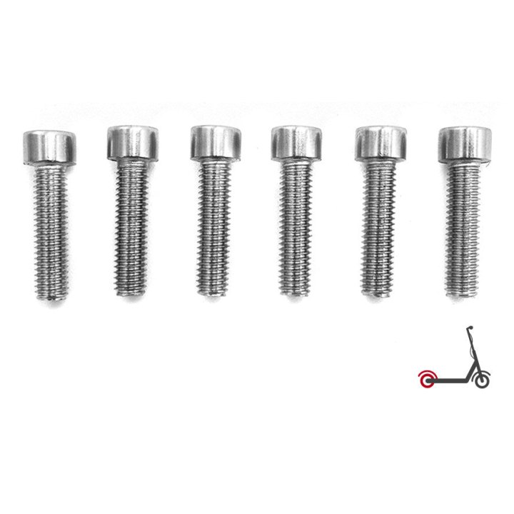 Vis BTR roue AR Dualtron Mini (x6)