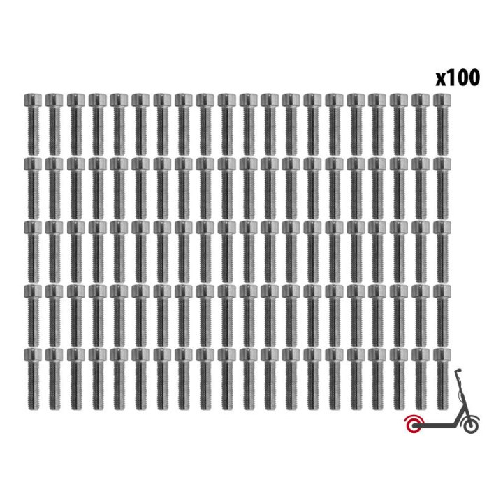 Vis BTR roue Ar Dualtron Mini (x100 pcs)