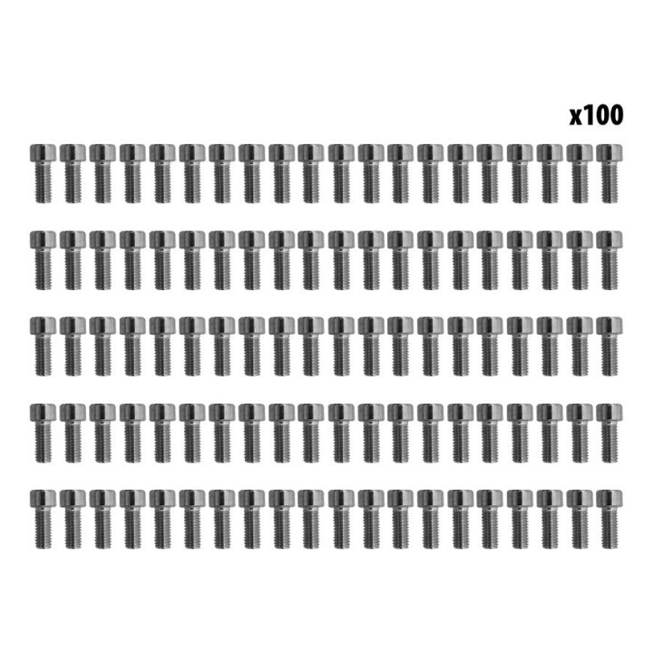 Vis gardes boue Dualtron x100 pcs