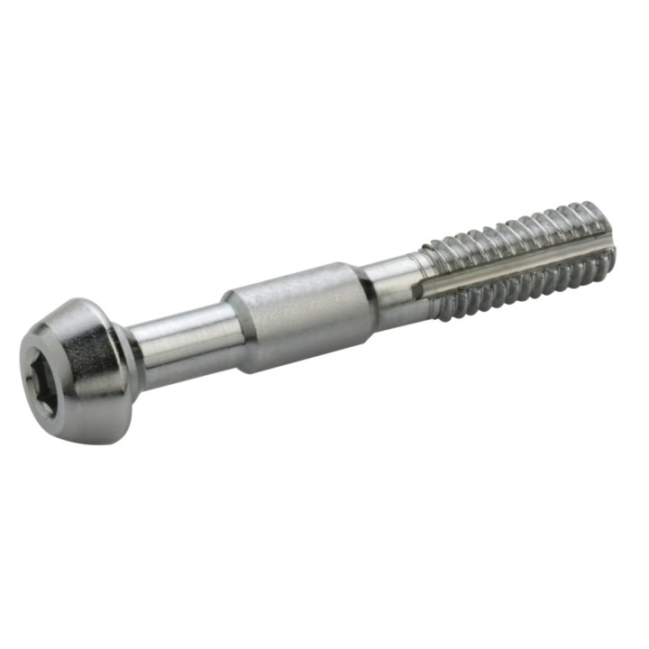 10 x vis Hydro inox pour durite Elvedes