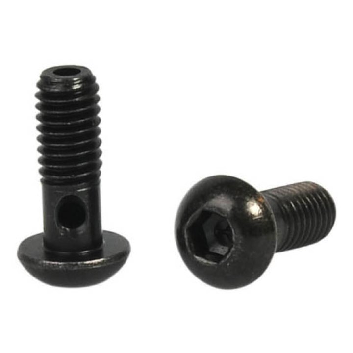 2 x vis Elvedes M6 pour banjo