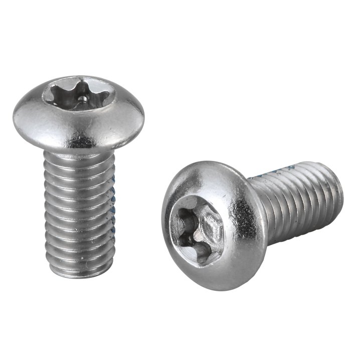 Vis de disque inox x100 Elvedes